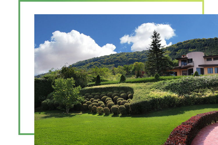 home_eco_pic3