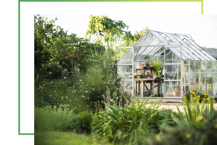 home_eco_pic5